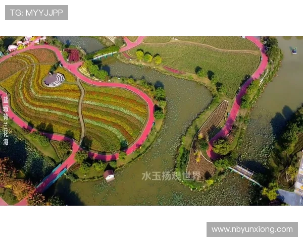 花海王者引领浪漫盛景打造梦幻视觉盛宴绽放自然之美 花海王者引领浪漫盛景打造梦幻视觉盛宴绽放自然之美