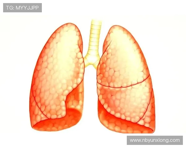 运动助力健康人生，科学锻炼提升体能与心理素质的全面指南