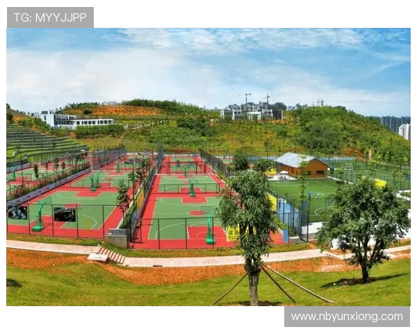 以运动为核心提升健康生活方式探索多元运动项目与身心融合的全新路径