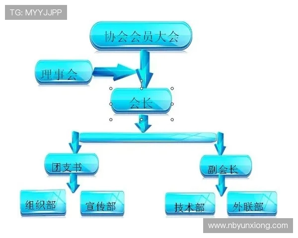 乒乓球运动的发展历程与现代科技助力竞技水平全面提升研究
