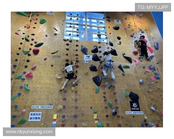 南京攀岩队的节奏探讨与攀岩文化的融合之旅