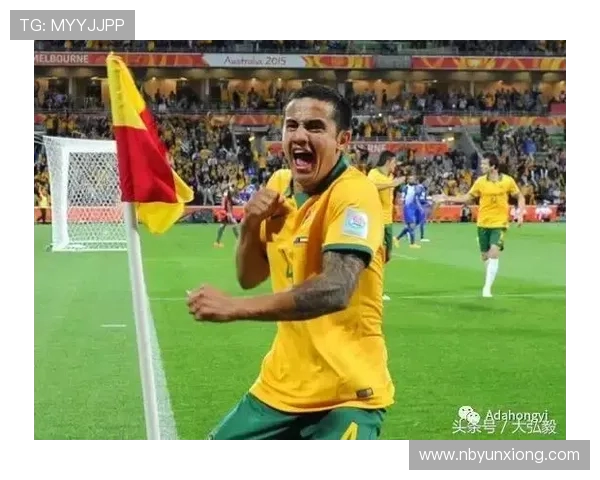 喀麦隆与智利比赛结果分析及数据统计详解